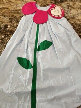 Girls Light Blue Flower Applique Dress with Pink Petal Collar